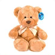 Sweet Brown Bear Plush Toy