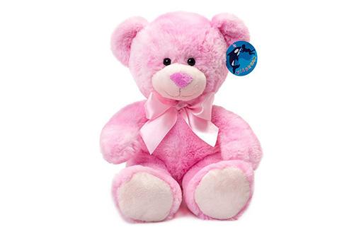 Pink Plush Teddy Bear