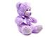 Violet Teddy Bear Plush Toy