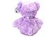 Violet Teddy Bear Plush Toy