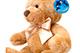 Sweet Brown Bear Plush Toy